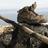 bolao_a's profile image