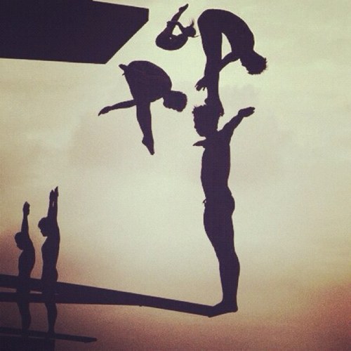 shit_divers_say's profile picture. So much shit to say