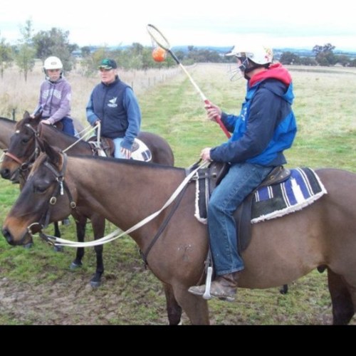 balogh_karl's profile picture. West Virginia University