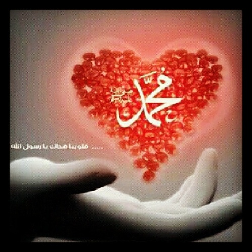 amani138's profile picture. لا إله إلا الله