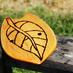 FishHook Handplanes (@fishhooksurf) Twitter profile photo