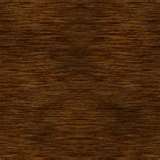 FidgetyCoyote's profile picture. 