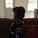 Katie Altman - @jedburggirl27 - Twitter