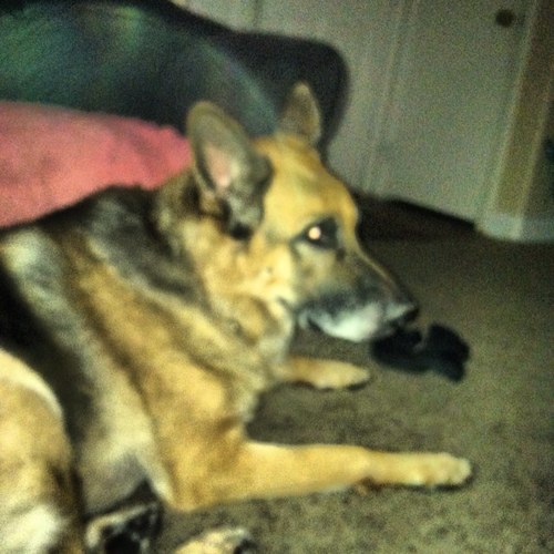 area702present's profile picture. 