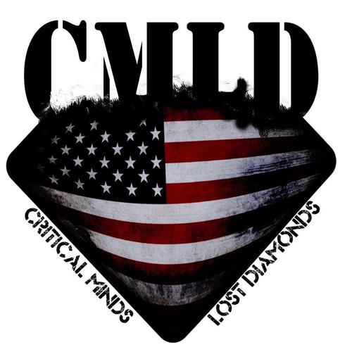Critical Minds Lost Diamonds is a Exclusive brand of clothing coming out of the Los Angeles area, we represent the street life of todays urban fashion #CMLD