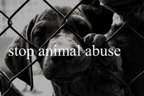 #AnimalAbuseAwareness