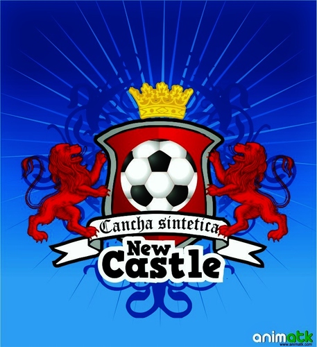 Canchas Sinteticas New Castle