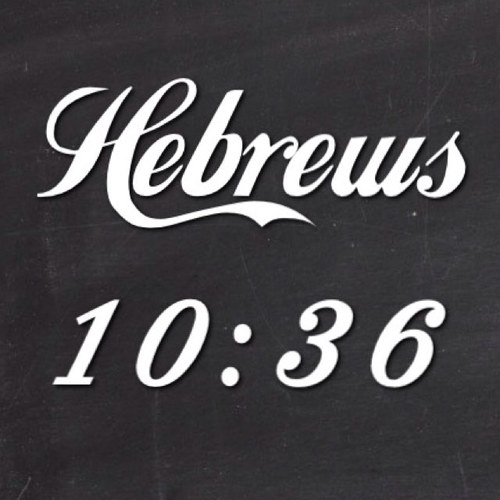 TheLongPursuit's profile picture. { I am going to show this to My Jewel someday and then ask for her Hand }          Hey Doll, You are so worth the wait.