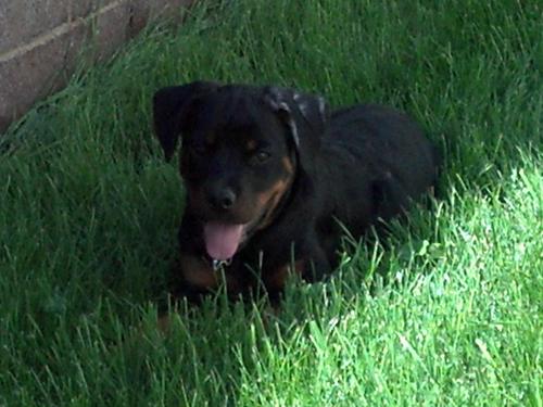 bdcooper74's profile picture. 