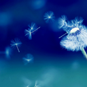 Kendra Walters - @kendraism - Twitter