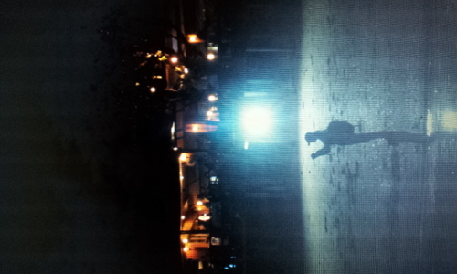 EArthurMobile's profile picture. Bears Beets Birds Books Bodily Autonomy