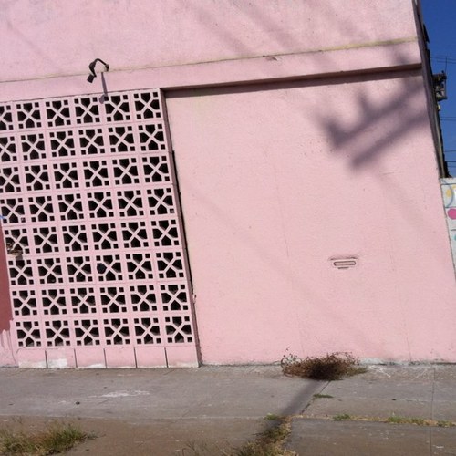 samuelfarfsing's profile picture. do the splat!