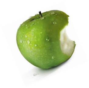 Adam and Eve & the birds and the bees: Love, Sex, and Relationships from a Christian perspective.