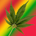 Marijuan Health (@marijuanhealth) Twitter profile photo Marijuan Health (@marijuanhealth) Twitter profile photo