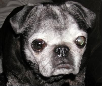 MissyMoops's profile picture. and you want to be my latex salesman...