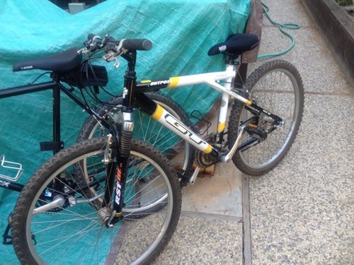 pey_ryo's profile picture. 