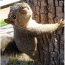 Emery Scott - @Emery_Scott - Twitter