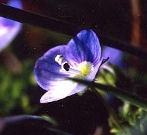 小花幸多さんのプロフィール画像