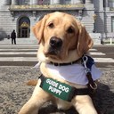 Emily Crisp - @EmmyNK22 - Twitter