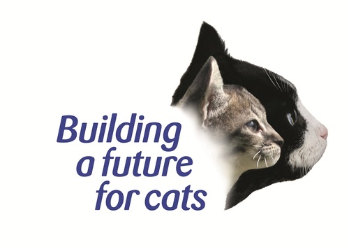 Cats Protection are building a future for cats by planning new homing centres to ensure all cats and kittens are given a brighter future.