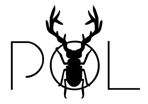 Fashion designer