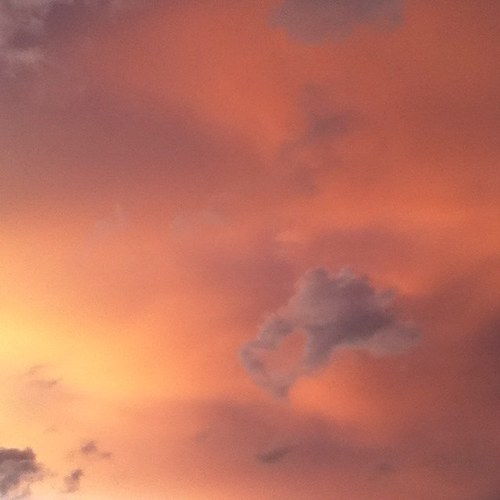 Tun96603's profile picture. 