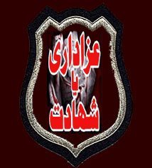 Azadari Ya Shahdat is just the voice of inocent shia muslims in Pakistan...