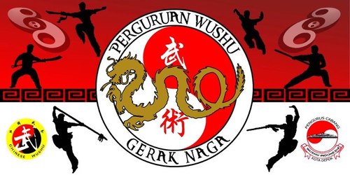 UK Beladiri Wushu Gerak Naga Universitas Gunadarma.  IG: wushugunadarma