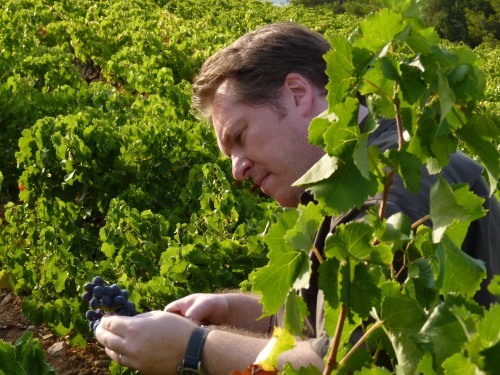 VigneronMonde's profile picture. 