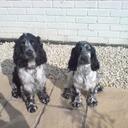 Julia Judd - @TokyoSahara - Twitter