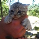 Evan Snow - @evan35snow - Twitter