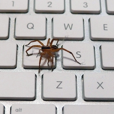 i live on a keyboard. i'll debug your code if you let me keep them for snacks later.