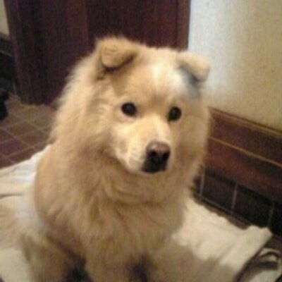 クウママ