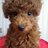 kk_ayumu's profile image