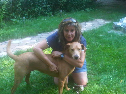 Charli Sorrentino - Certified Canine Behaviorist  & Certified Professional Dog Trainer Suffolk County, NY Positive methods only.