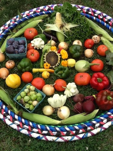 NativeAmerica17's profile picture. 