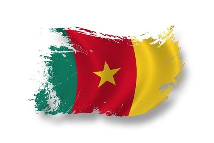 Offres d'emploi au Cameroun / Job offers in Cameroon