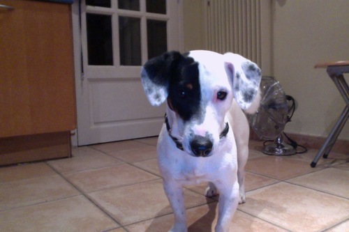 SerfatiRobin's profile picture. beau goss