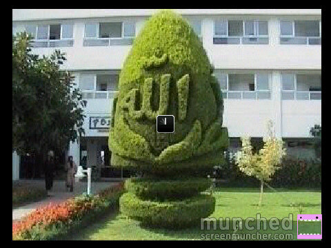 tonnisaragi's profile picture. Laki laki