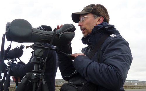 Birding in and around Oxford, particularly Port Meadow, and sometimes in Cornwall.