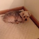 Joyce Cartwright - @Tootsie_Roll121 - Twitter