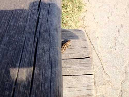 steffen170373's profile picture. 