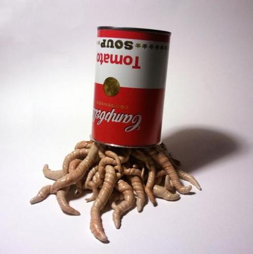 Vikobeliko's profile picture. Nacido en la gran Tenochtitlan !