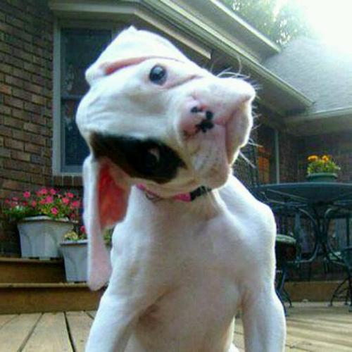 cmmcs93's profile picture. 