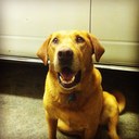 Tyler korte - @KorteTyler - Twitter