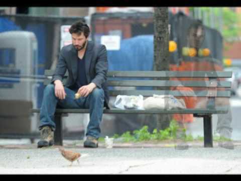 GallenBear's profile picture. 