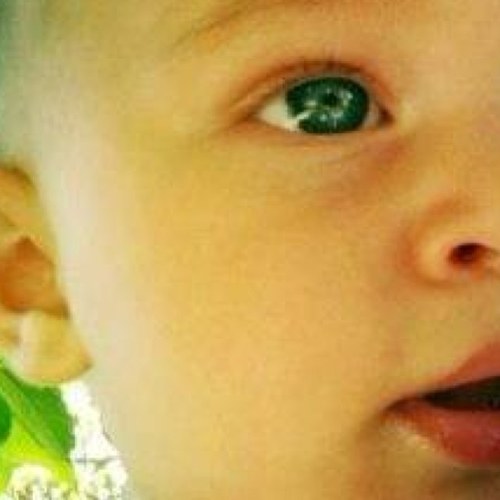 BusekalayBuse's profile picture. 