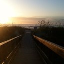 Renee McLeod - @sreneemcleod - Twitter