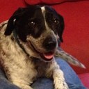 matt rogge - @lowbuckcool - Twitter