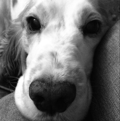 louisalevett's profile picture. 